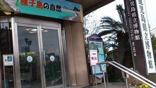 意外と良かった