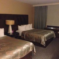 寝るだけなら問題なし。冷蔵庫なし。