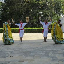 民族舞踊のショー