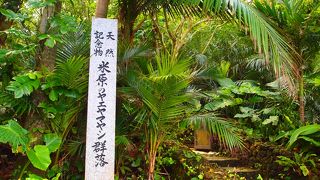 国定天然記念物