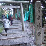 名水の菊水泉が湧く養老神社