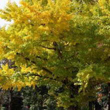原っぱ南の売店付近