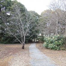 郭内は公園として整備されています。