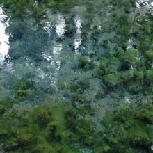 青く見えるほど