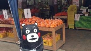 灯篭蜜芋とみかん