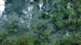 惹きつけられる透明度