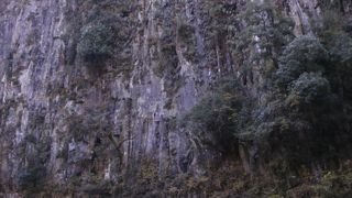 仙人のなせる業？