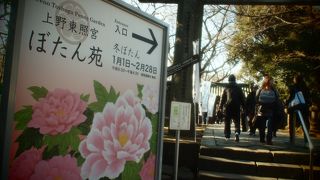 開催中のみの御朱印