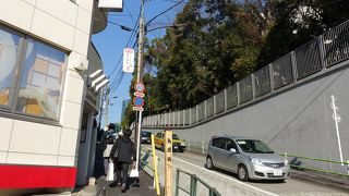 お店がないのが散歩にいいです