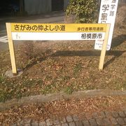 歩行者専用の道です