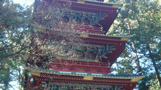 今年(2016年）は400周年