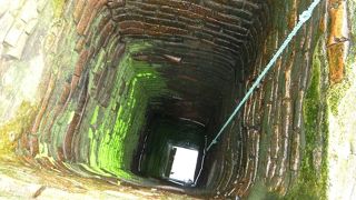 ホワイトローズのかくし味