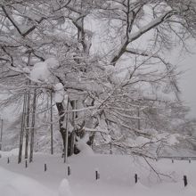 雪飾り