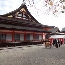 少し見えている楓も色づきは・・・