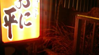 コストパフォーマンス良