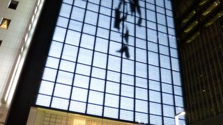 目に止まります！