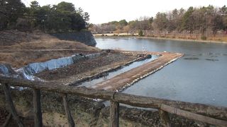 名古屋城のついでに