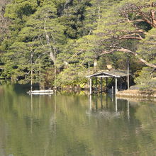 中の島の西側に船着き場の屋根があり、その傍に臥龍石が見えます