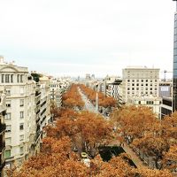 ランブラス通り方面