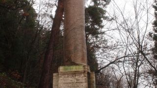 ベスビオ火山の噴火後の廃墟から発見された柱