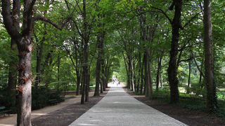 自然豊かな公園