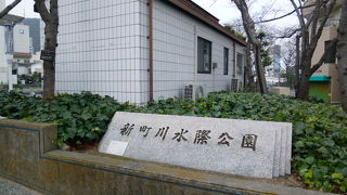 きれいに整備された公園です