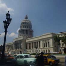 ひときわ目立つ