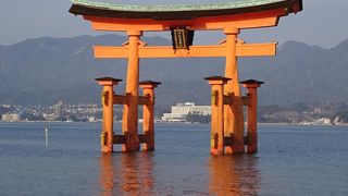 お参りしてきました