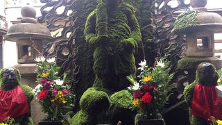 苔むすお不動さん