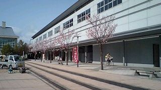 桜の季節の小松駅