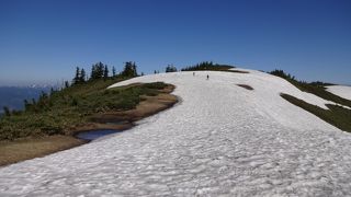 花がきれい！雪の中を歩く幸せ登山
