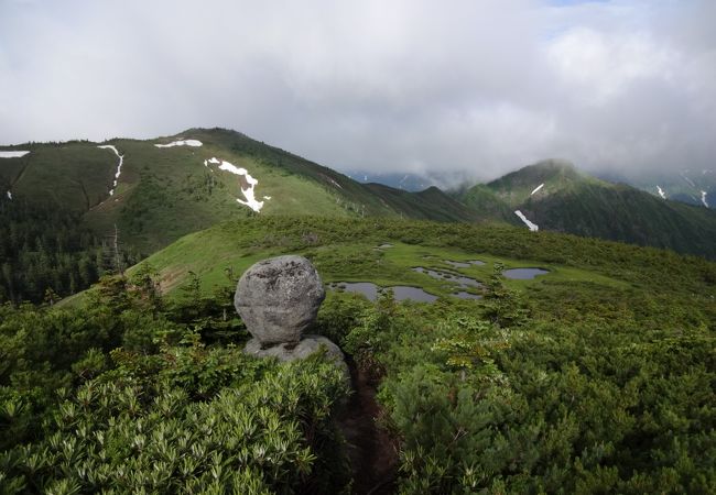 最短コースからの楽々登山