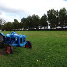 並木道のある雄大な景色