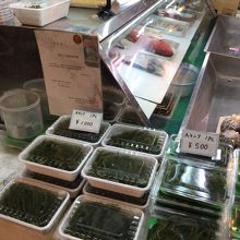 海ぶどう 大 1パック 1,000円