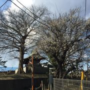 歴史ある神社だけど…