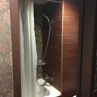 バスタブもありますが、浸かれる大きさではありません。