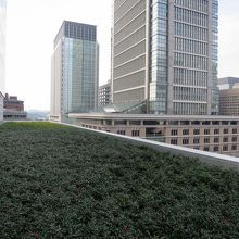 左手にはビル屋上とは思えない緑、奥には皇居も見えます 