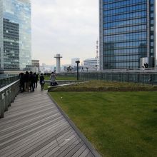 床は木材、温かみを感じます