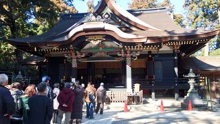 普段はもっと落ち着いています