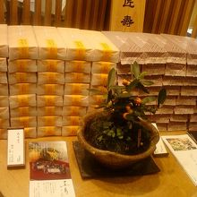 大好きなあも。