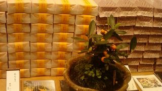 ここの雰囲気や味が大好き！