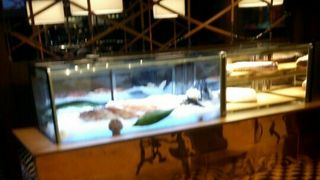 ランチでもやや高めの料金