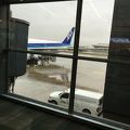 日系の飛行機はやっぱりいい