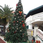 マイアミのおしゃれな高級住宅地で、街の中心にある「ココウォーク」ショッピングモールが有名です。
