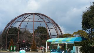 安く楽しめます