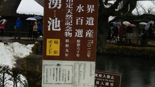 忍野八海の名水「涌池」