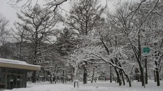 雪景色がきれい