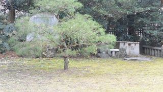 柵越しに見えます