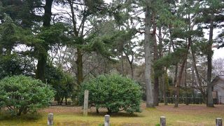 邸内にあった縣井が残る