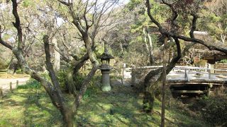 梅が有名な穏やかな庭園